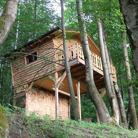Treehouse Velké Losiny Eksteriør bilde