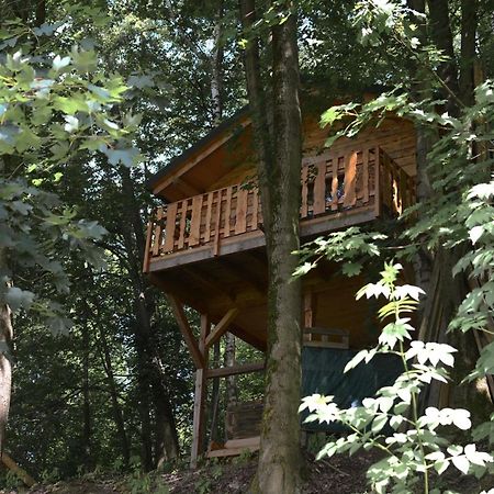 Treehouse Velké Losiny Eksteriør bilde