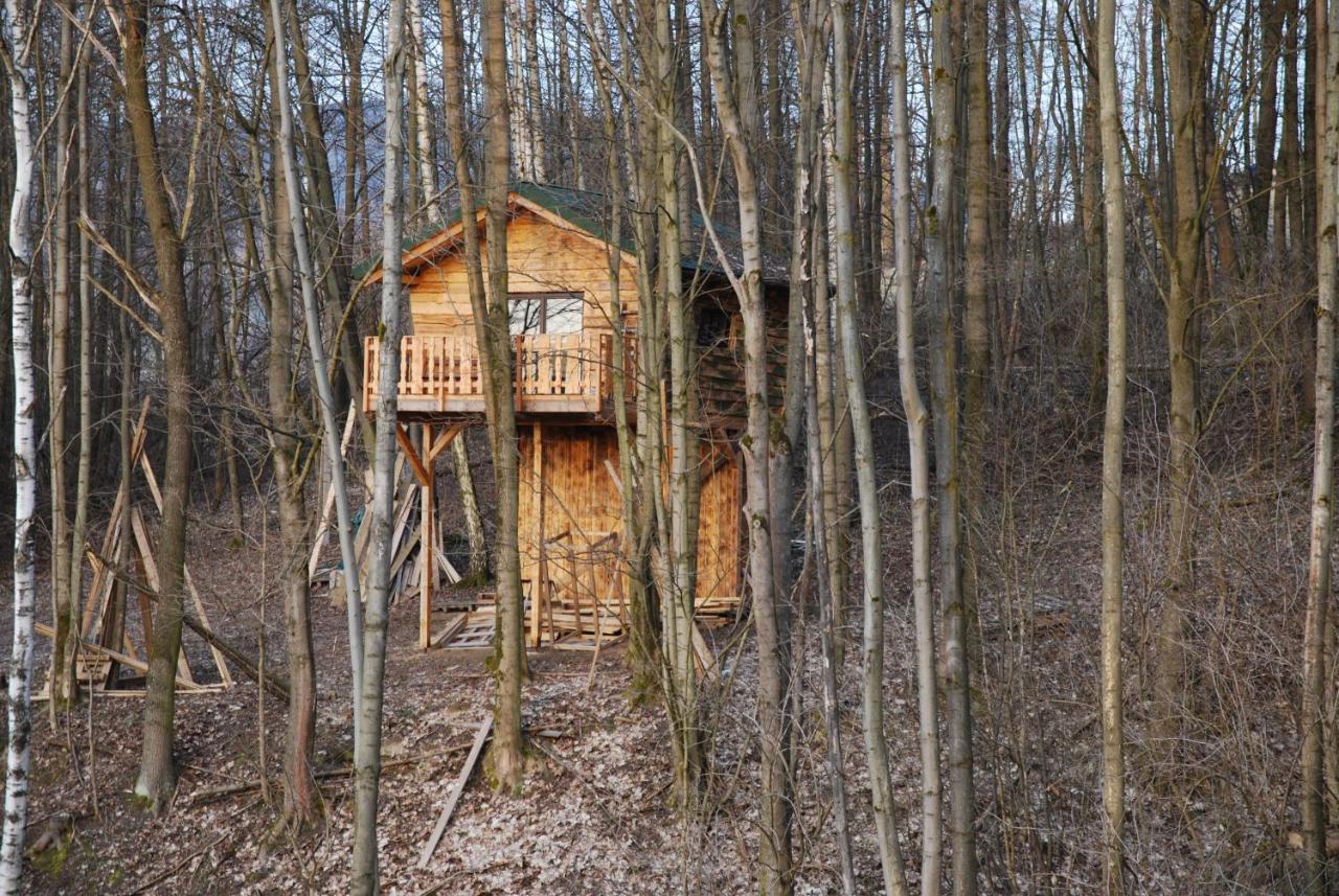 Treehouse Velké Losiny Eksteriør bilde