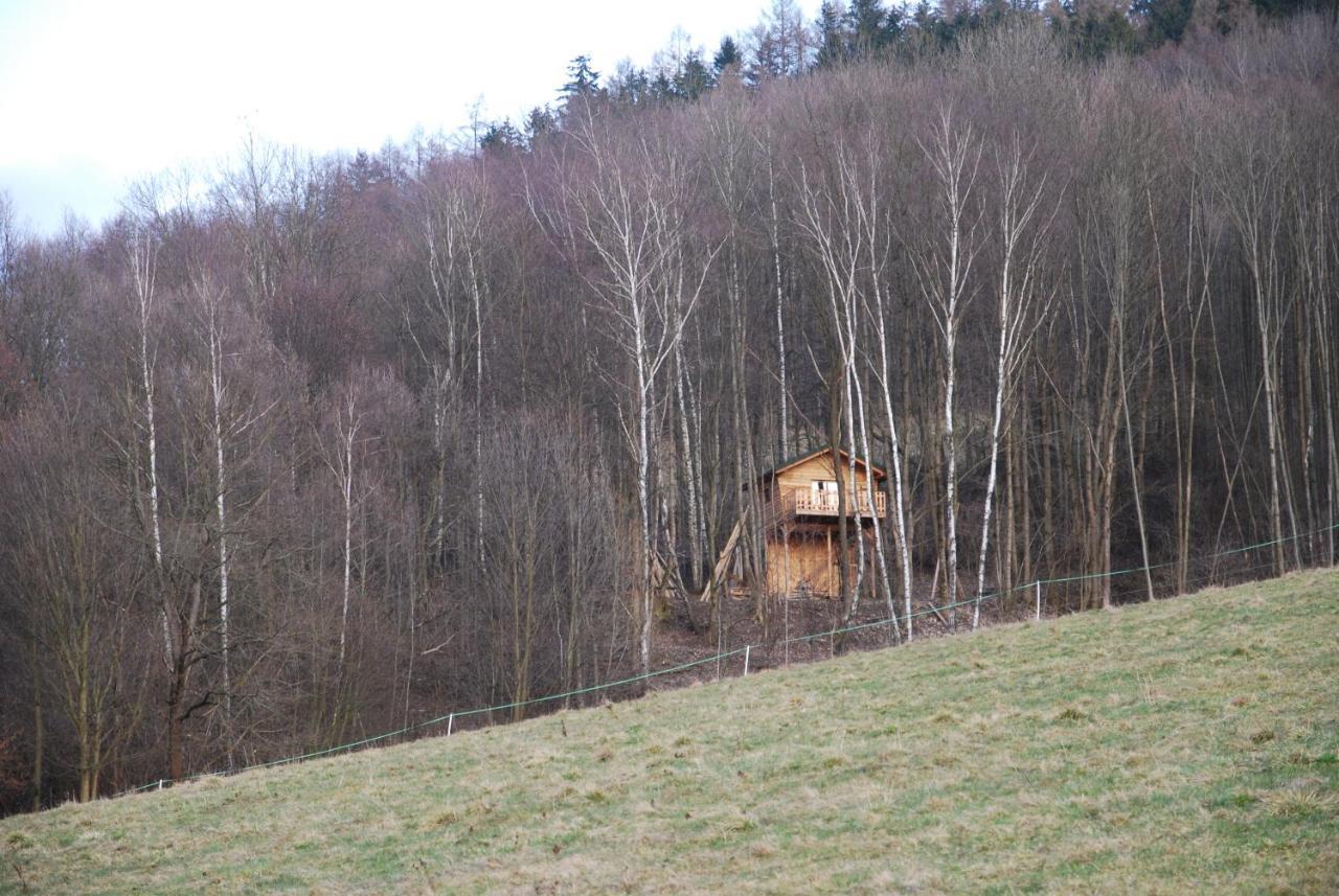 Treehouse Velké Losiny Eksteriør bilde