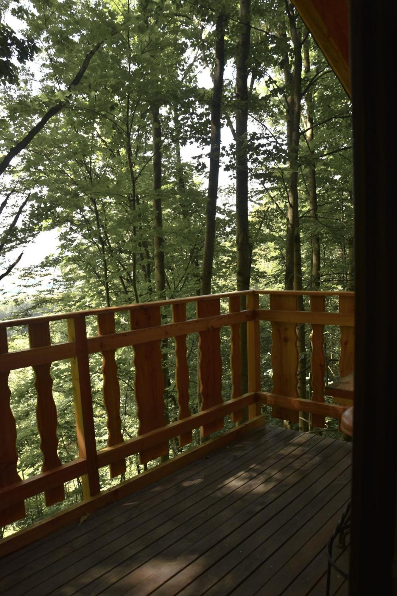 Treehouse Velké Losiny Eksteriør bilde