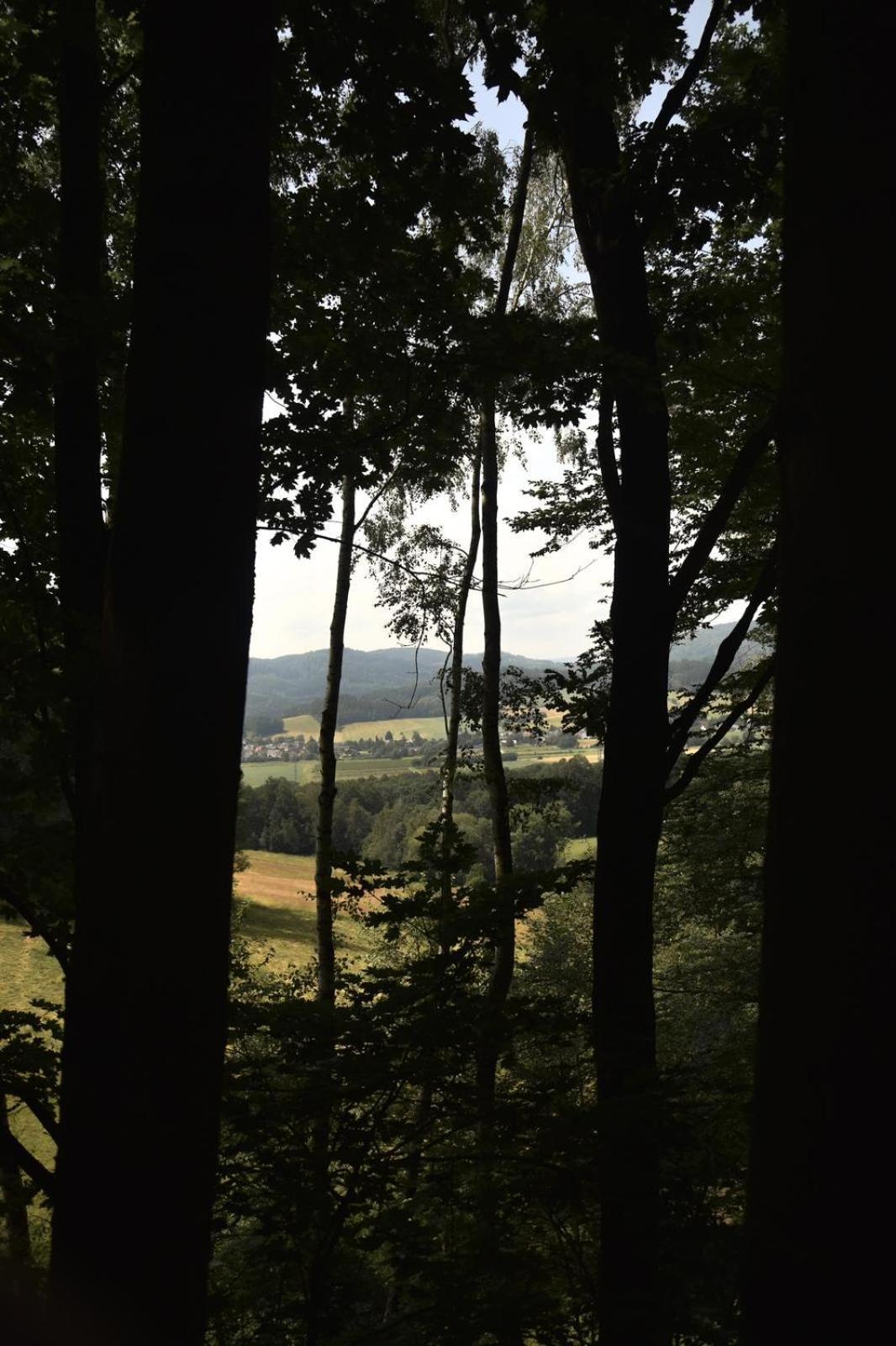 Treehouse Velké Losiny Eksteriør bilde